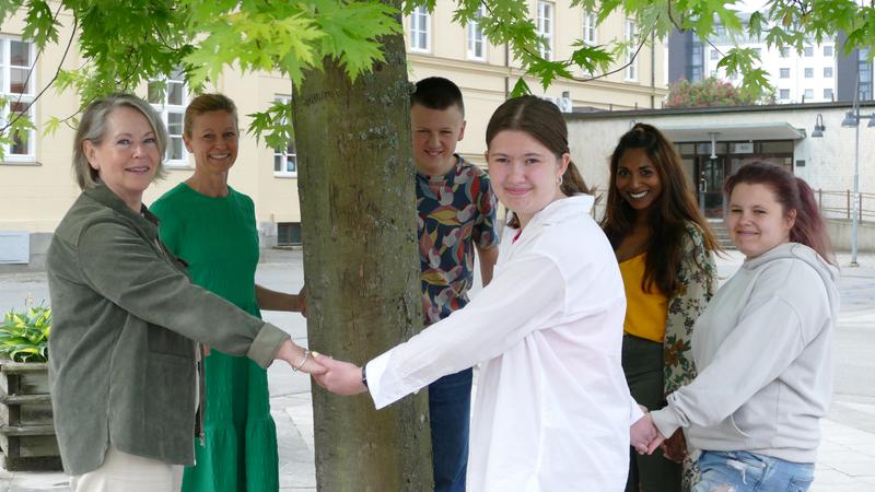 Elever och lärare håller händerna runt ett träd på en skolgård.