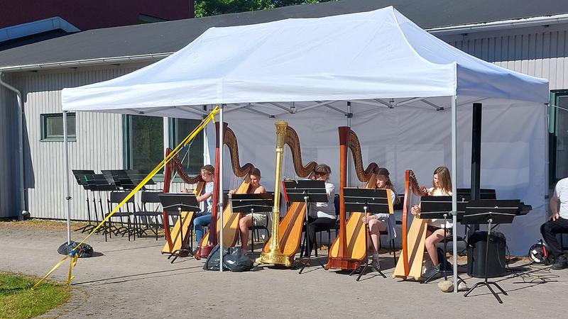 Musikskolans harpensemble spelar på Musikskolans Festival